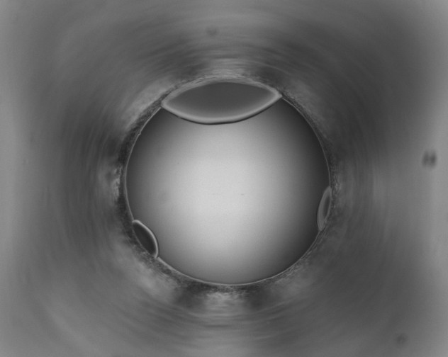X0000110960160200906191320
