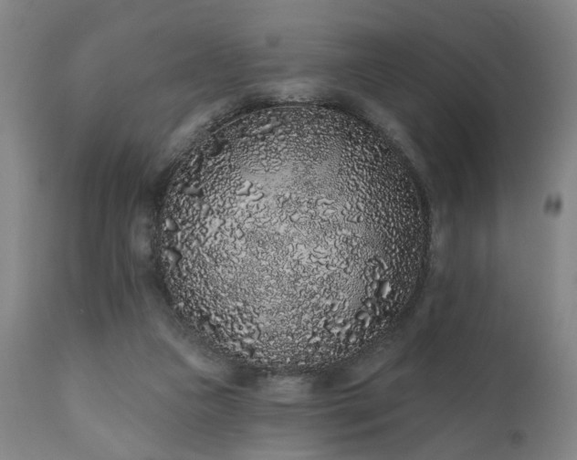 X0000110960161200906191320