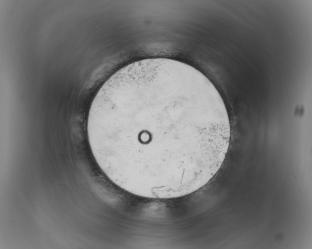 X0000110960162200906191320