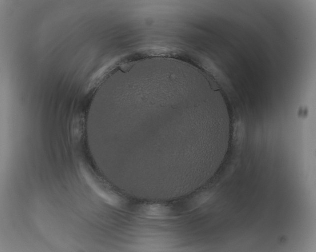 X0000110960165200906191321