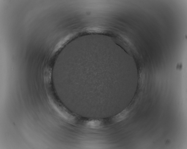 X0000110960168200906191321