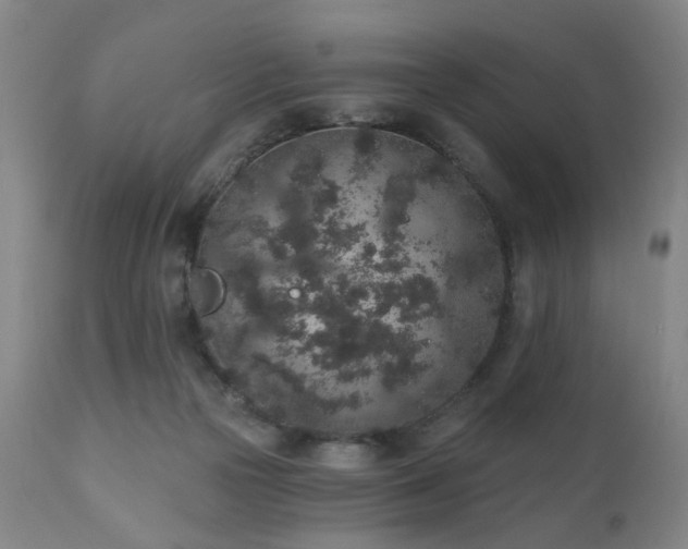 X0000110960169200906191321