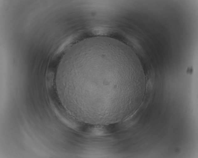 X0000110960171200906191321
