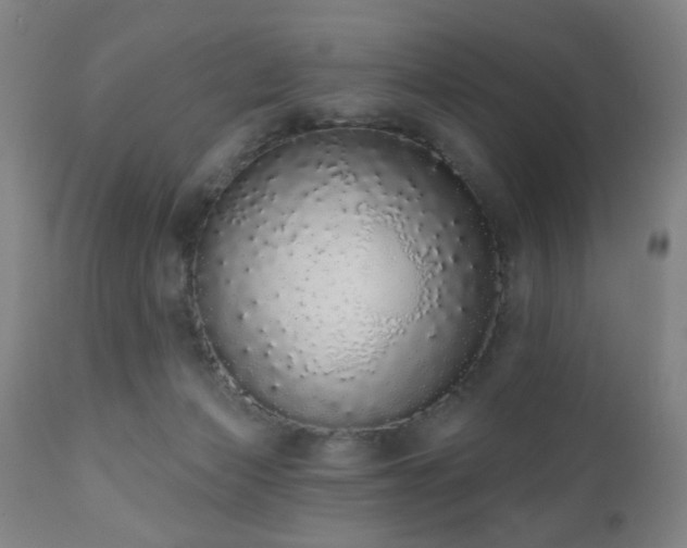X0000110960173200906191321