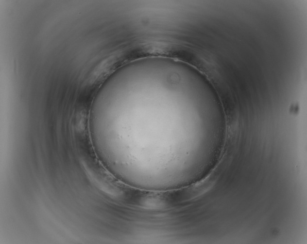 X0000110960175200906191321