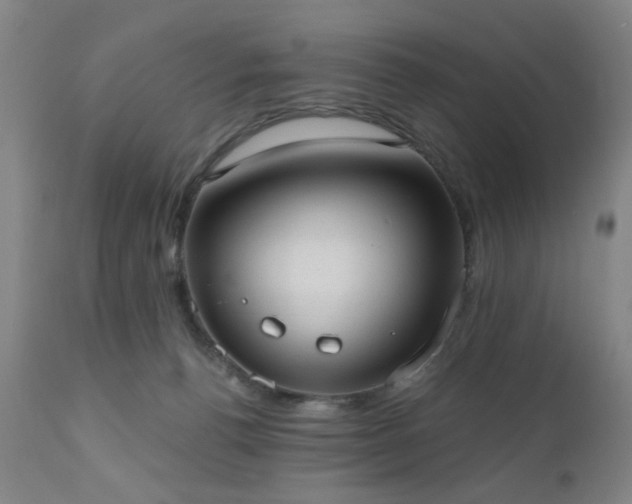 X0000110960176200906191321