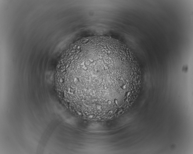 X0000110960177200906191321