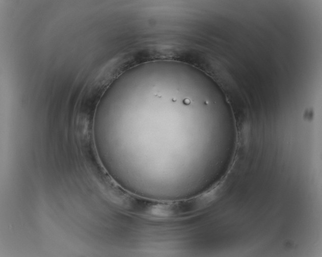 X0000110960178200906191321