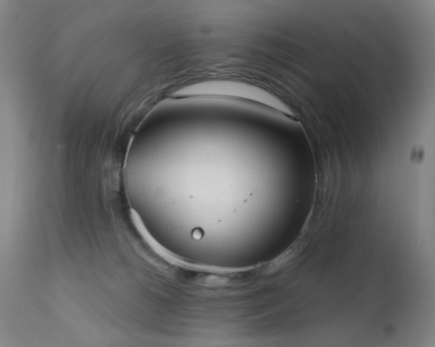 X0000110960180200906191321