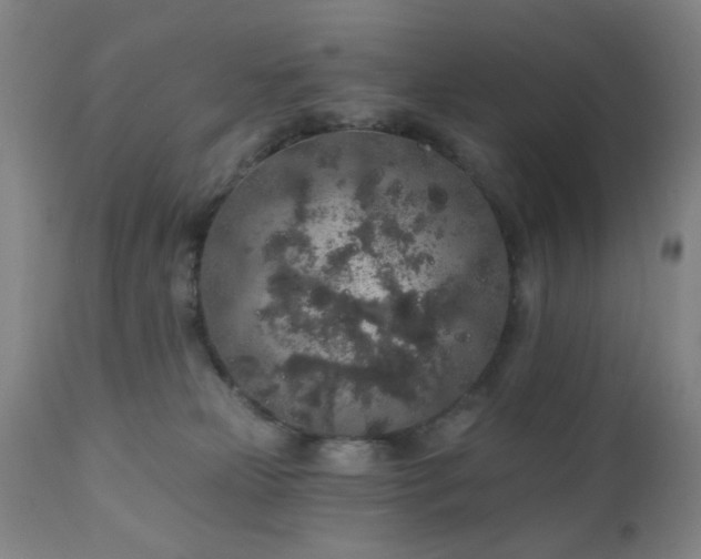 X0000110960181200906191321