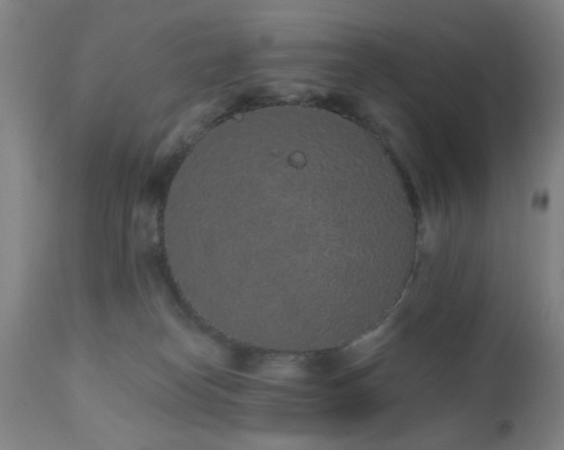 X0000110960182200906191321