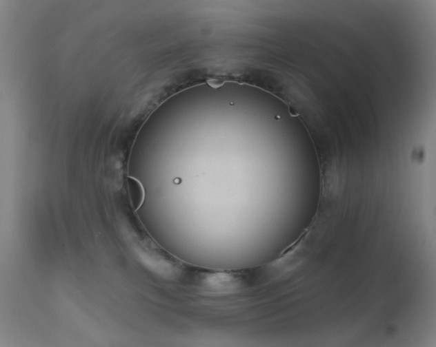 X0000110960183200906191321