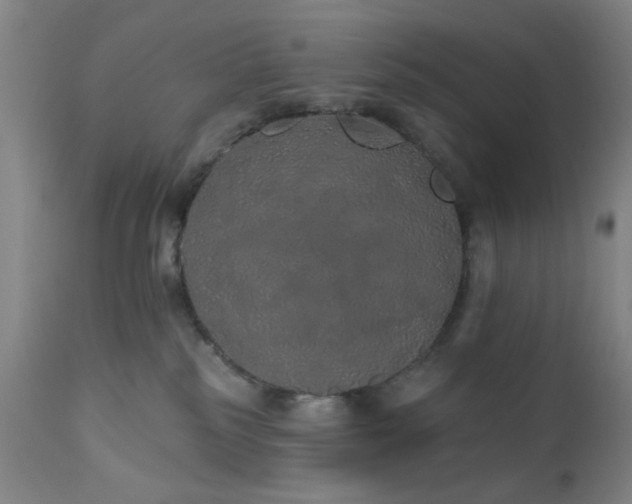 X0000110960185200906191321