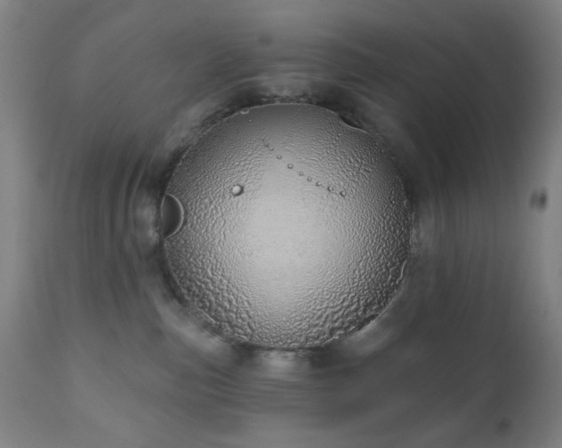 X0000110960187200906191321