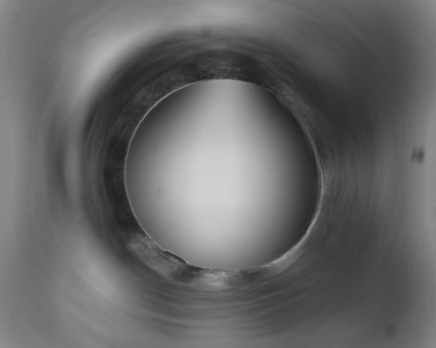 X0000110960190200906191321