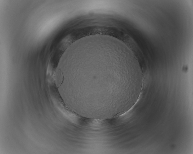 X0000110960191200906191321