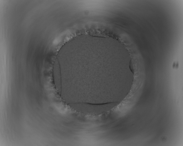 X0000110960192200906191321
