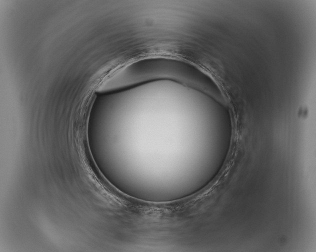 X0000110960193200906191320