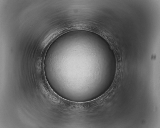 X0000110960194200906191320