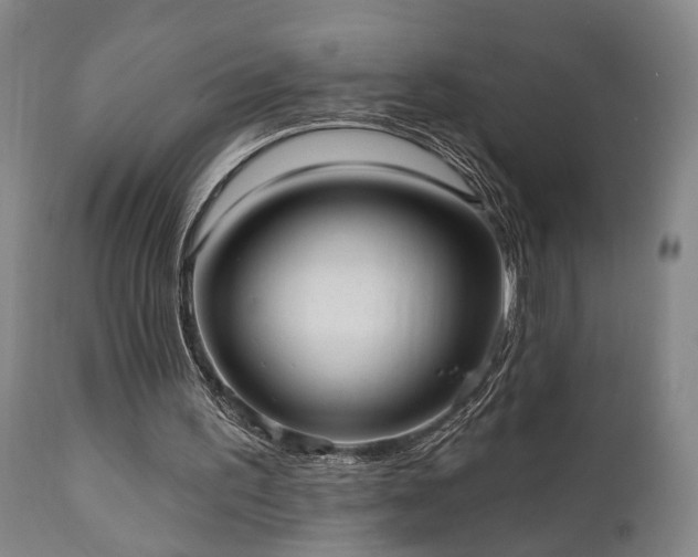 X0000110960195200906191320