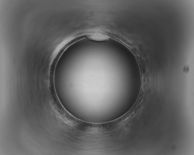 X0000110960200200906191320