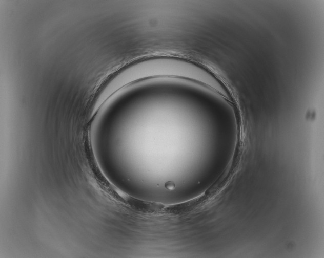 X0000110960201200906191320