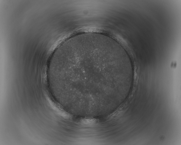 X0000110960202200906191320