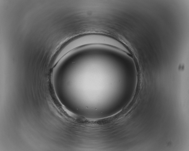 X0000110960203200906191320