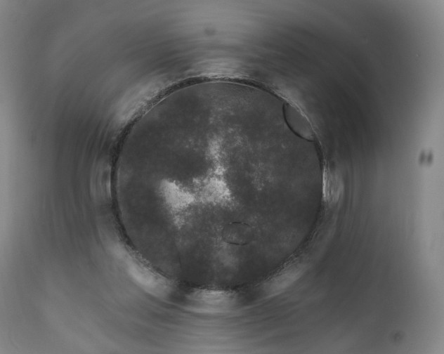 X0000110960205200906191320