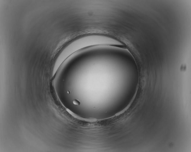 X0000110960207200906191320