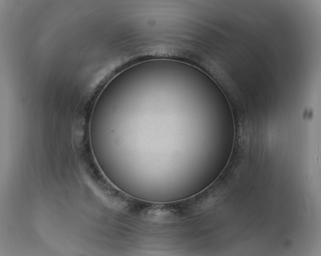 X0000110960208200906191320