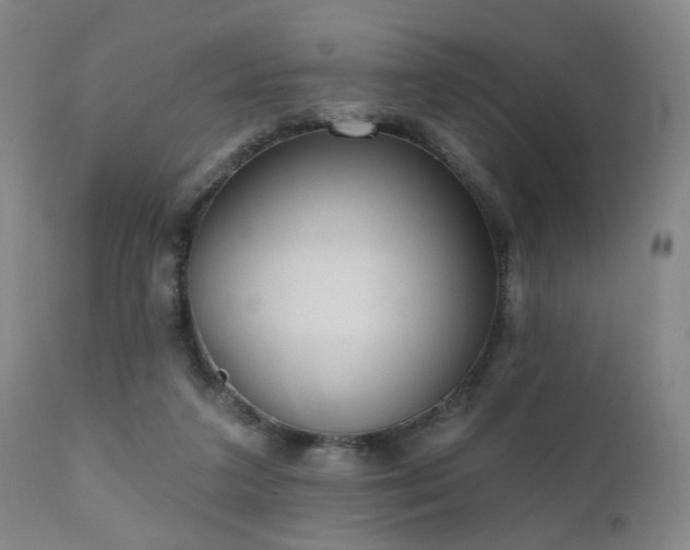 X0000110960211200906191320