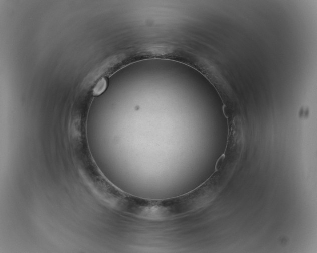 X0000110960212200906191320
