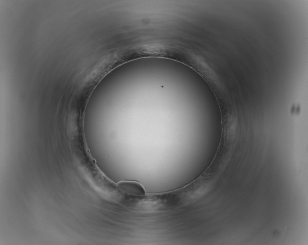 X0000110960213200906191320