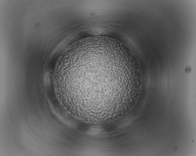 X0000110960214200906191320
