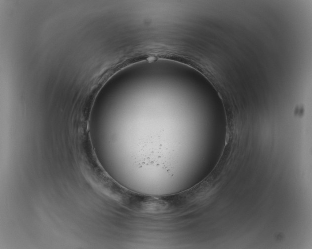 X0000110960215200906191320