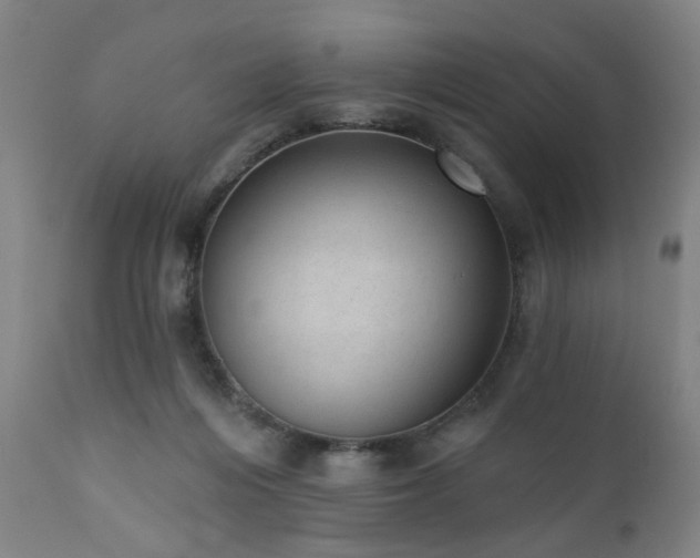 X0000110960216200906191320