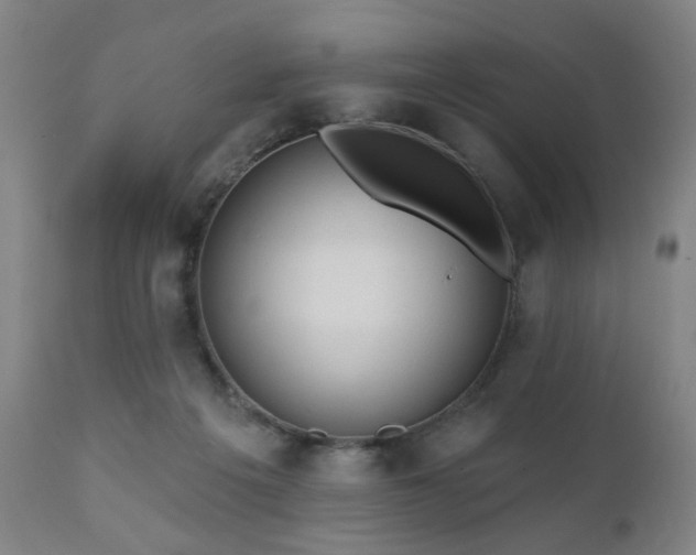 X0000110960217200906191320