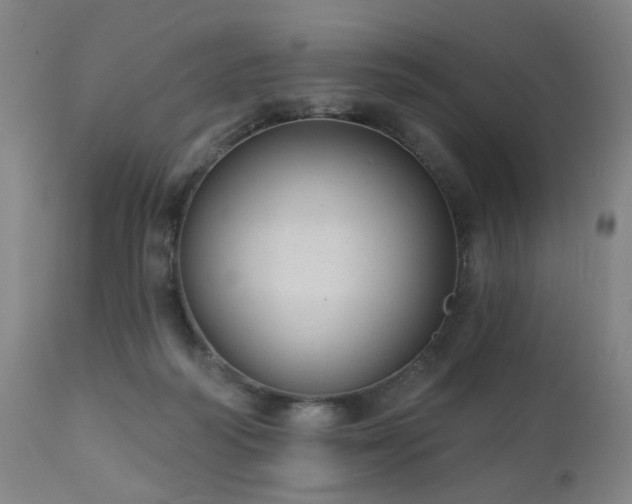 X0000110960218200906191320
