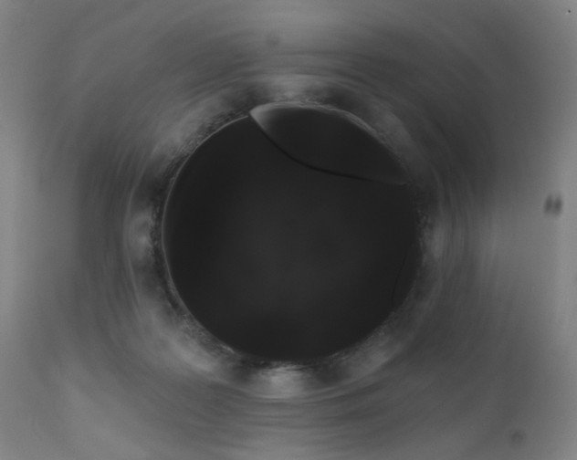 X0000110960219200906191320