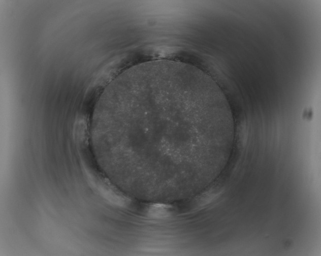 X0000110960222200906191320