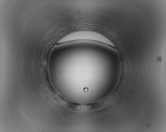 X0000110960225200906191320