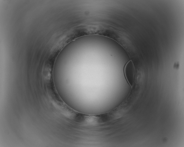 X0000110960226200906191320
