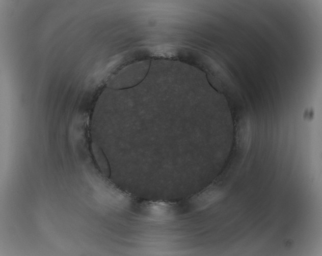 X0000110960229200906191320