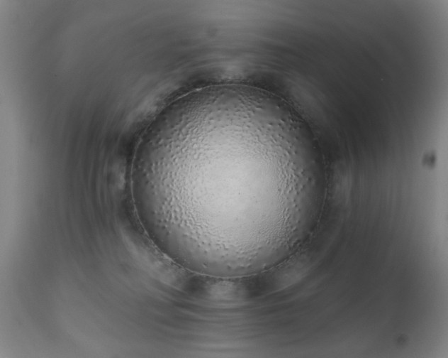 X0000110960230200906191320