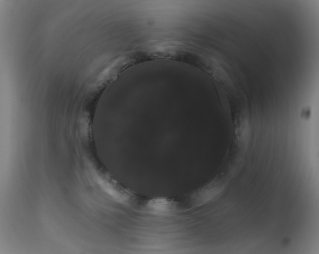 X0000110960231200906191320