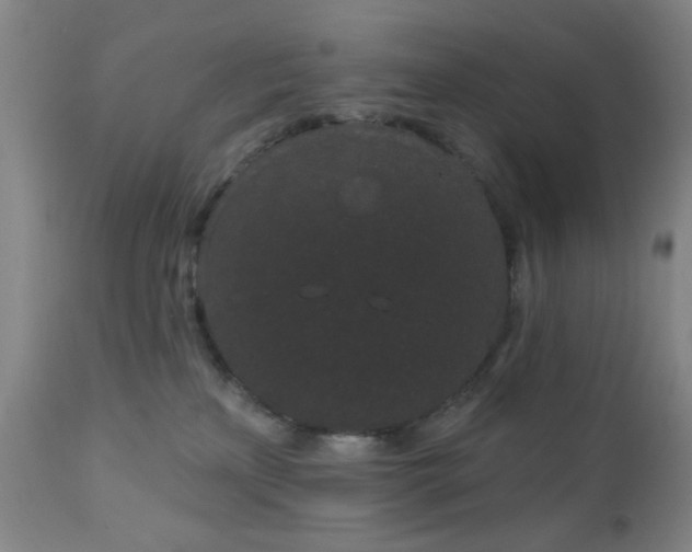 X0000110960233200906191320