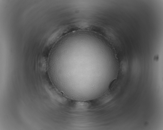 X0000110960234200906191320