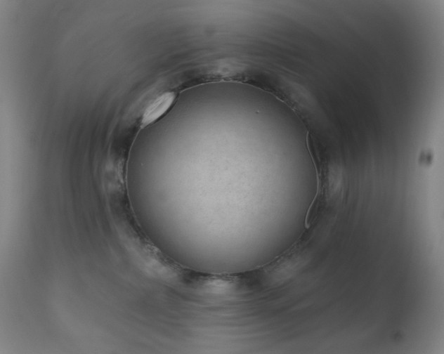 X0000110960236200906191319