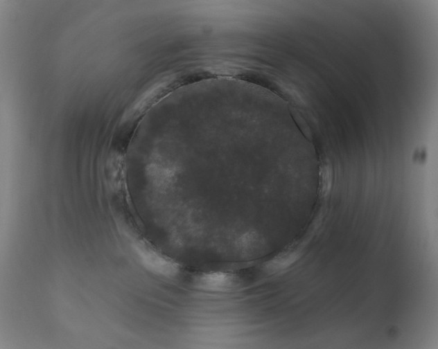 X0000110960237200906191319